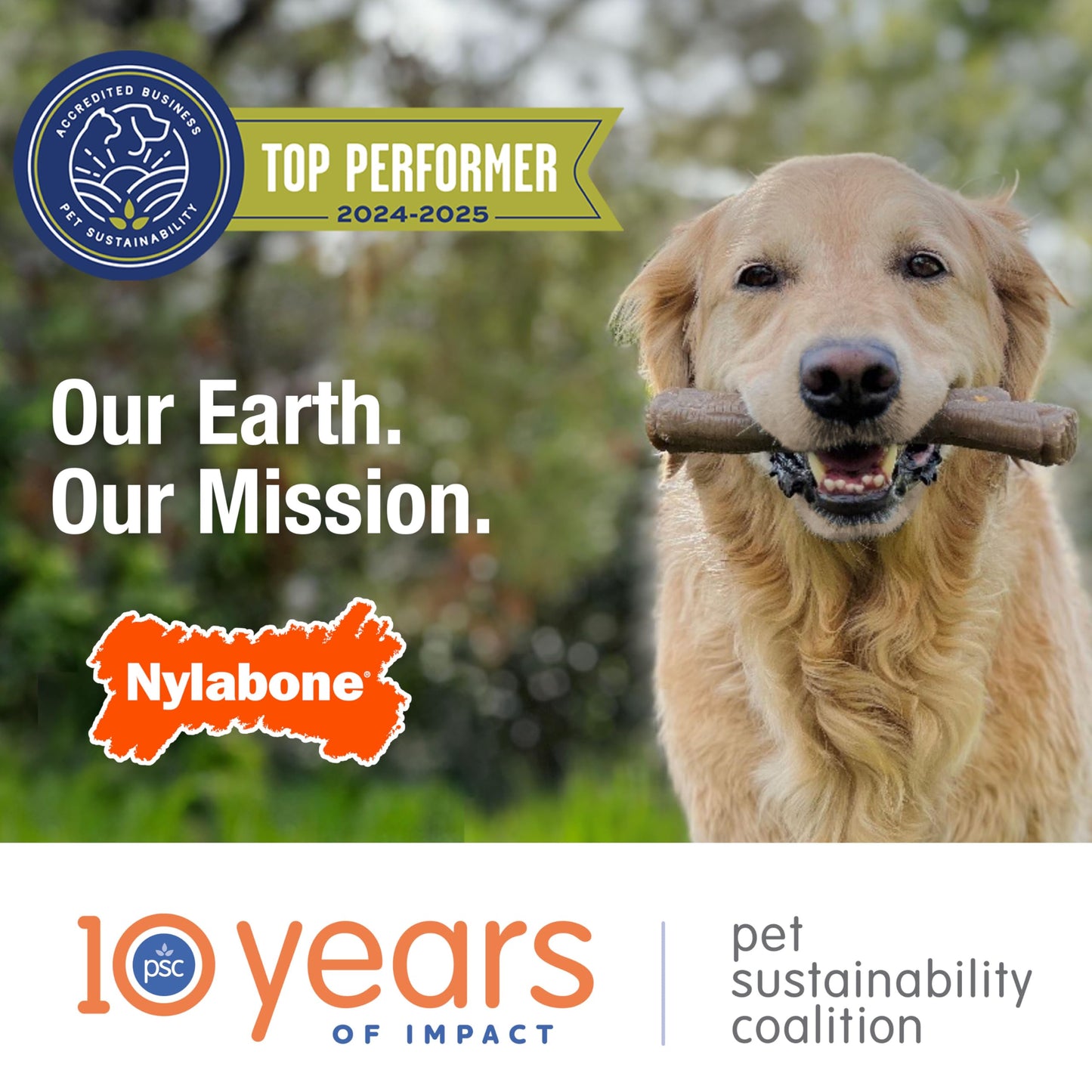 Nylabone Nubz Natural Edible Chew Treats for Dogs, Made in USA, Chicken Flavor, Large - Up to 50 lbs. (40 Count)