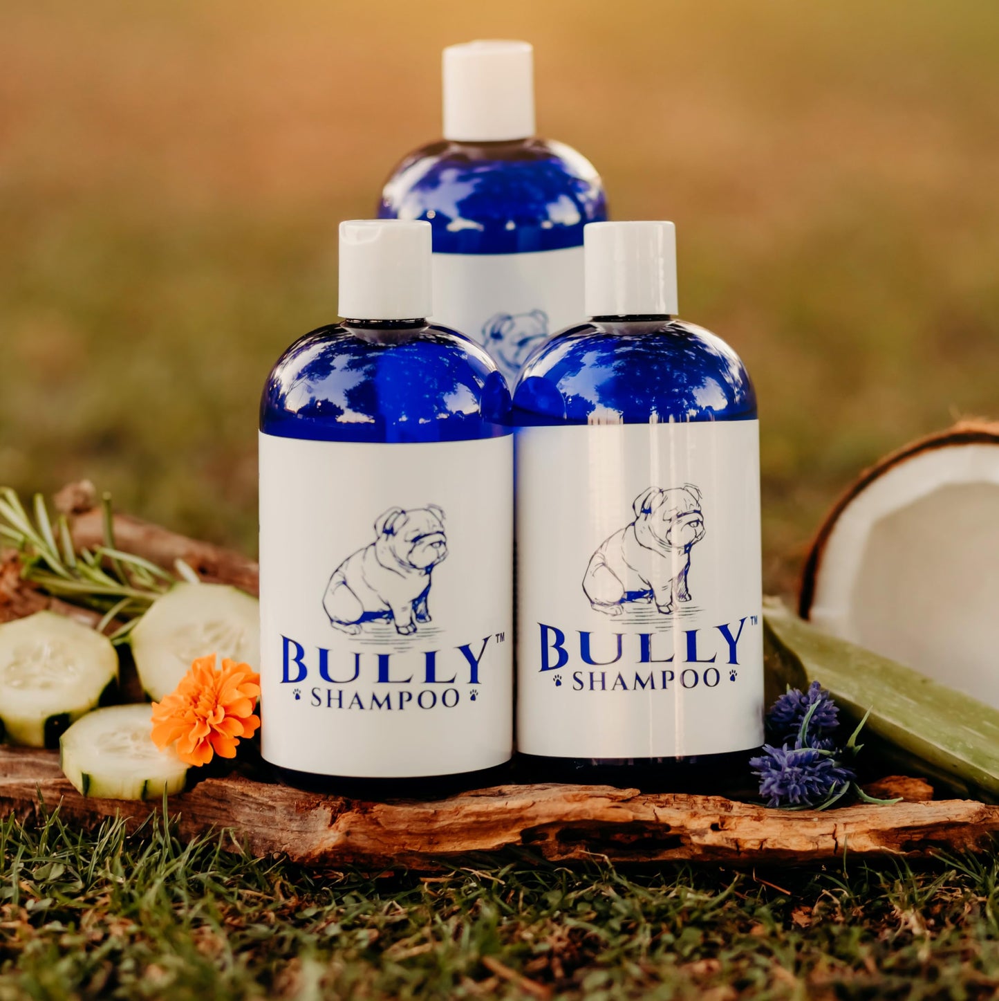 Pet Silk Tearless Puppy Shampoo 16oz, Specially Formulated Tear Free Shampoo for Sensitve Skin & Coat, Effective & Gentle, Fragrance & Dye Free for The at-Home Groomers!