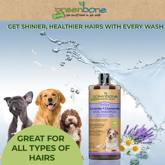 Greenbone Pet Spa Lavender & Chamomile Dog Shampoo - Calming, Soothing, Gentle Grooming Solution, 33 fl oz, Safe & Natural Formula