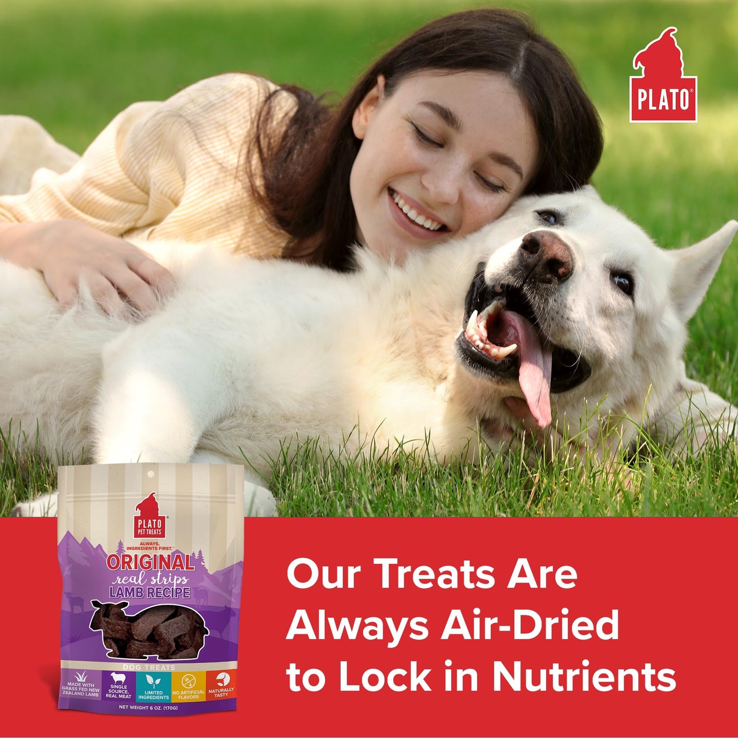 PLATO Pet Treats Real Strips - Air-Dried Meat Bars for Dogs - Delicious, Limited Ingredient Dog Treats - Grain Free - Original Real Strips Lamb 6oz