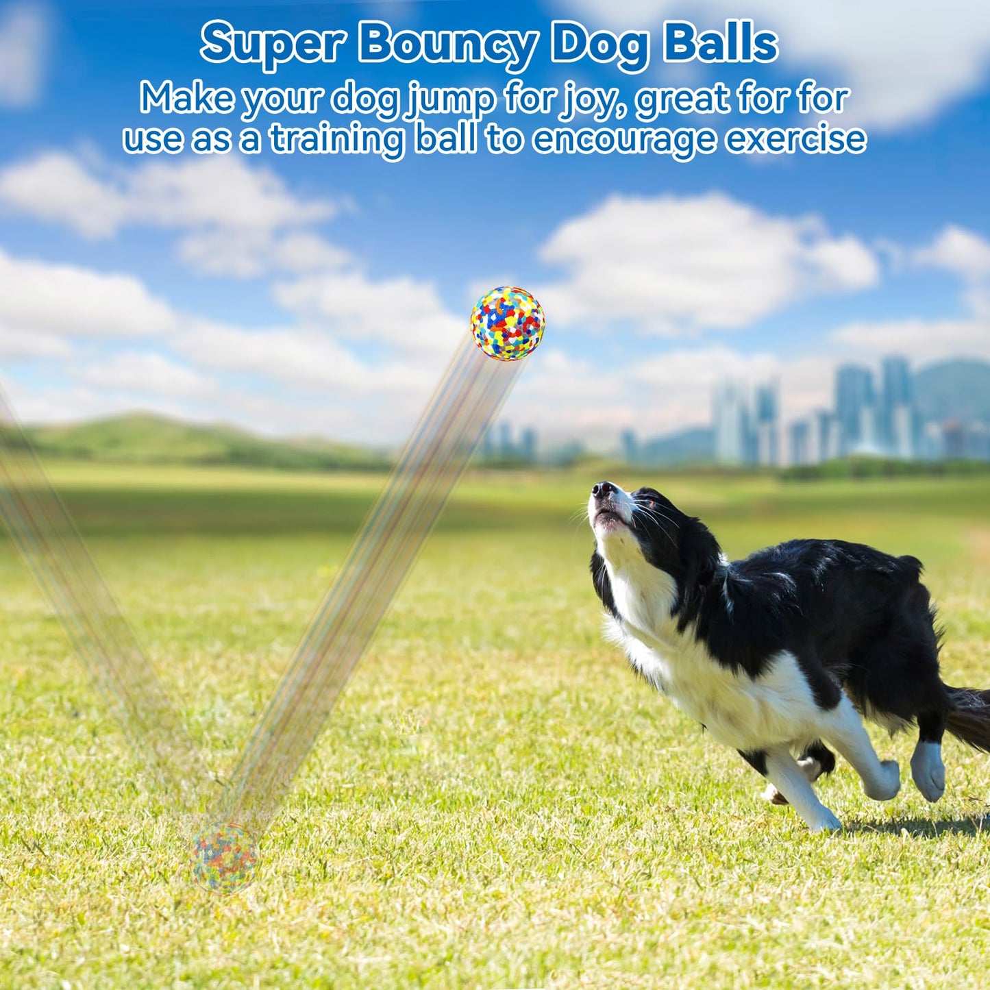 loncoldy Indestructible Dog Balls - 2 Pack Dog Toys for Aggressive Chewers, Large & Medium Breed, Interactive Fetch Ball Toy for Dogs