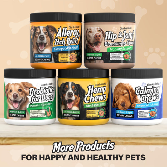 260 Bites Wellix Dog Hip and Joint Supplement Arthritis Pain Relief with Glucosamine Chondroitin MSM Natural & Functional Ingredients Joint Care Chews for Senior Dogs