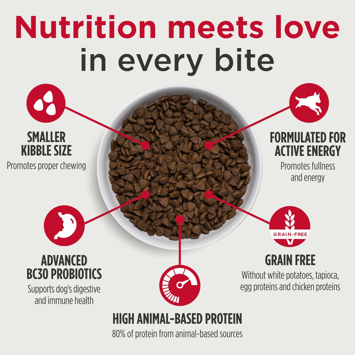 Nulo Freestyle Small Breed Dog Food, Premium Adult and Puppy Grain-Free Dry Smaller Sized Kibble Food, with BC30 Probiotic for Healthy Digestion Support, 6 Pound (Pack of 1)