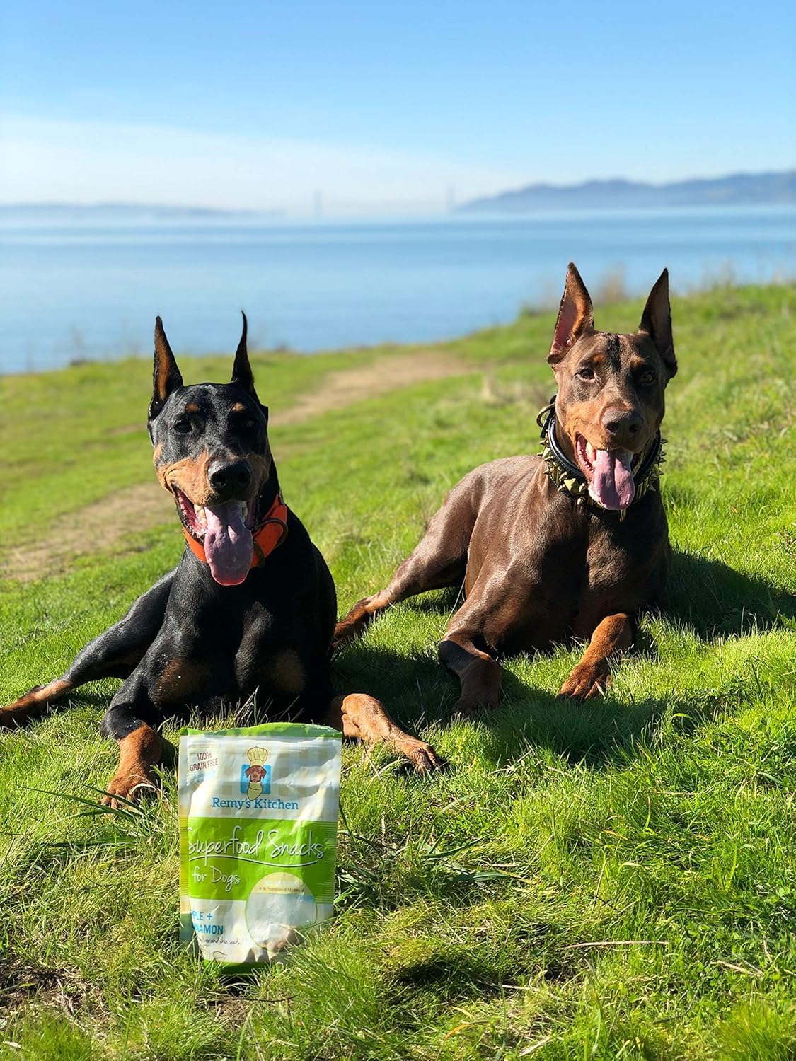 Remy’s Kitchen Apple Cinnamon Freeze Dried Dog Treats USA Sourced and Small Batch Made - Human-Grade, All Natural Superfood Dog Snacks Without Artificial Preservatives, Grain Free - 3.5 oz