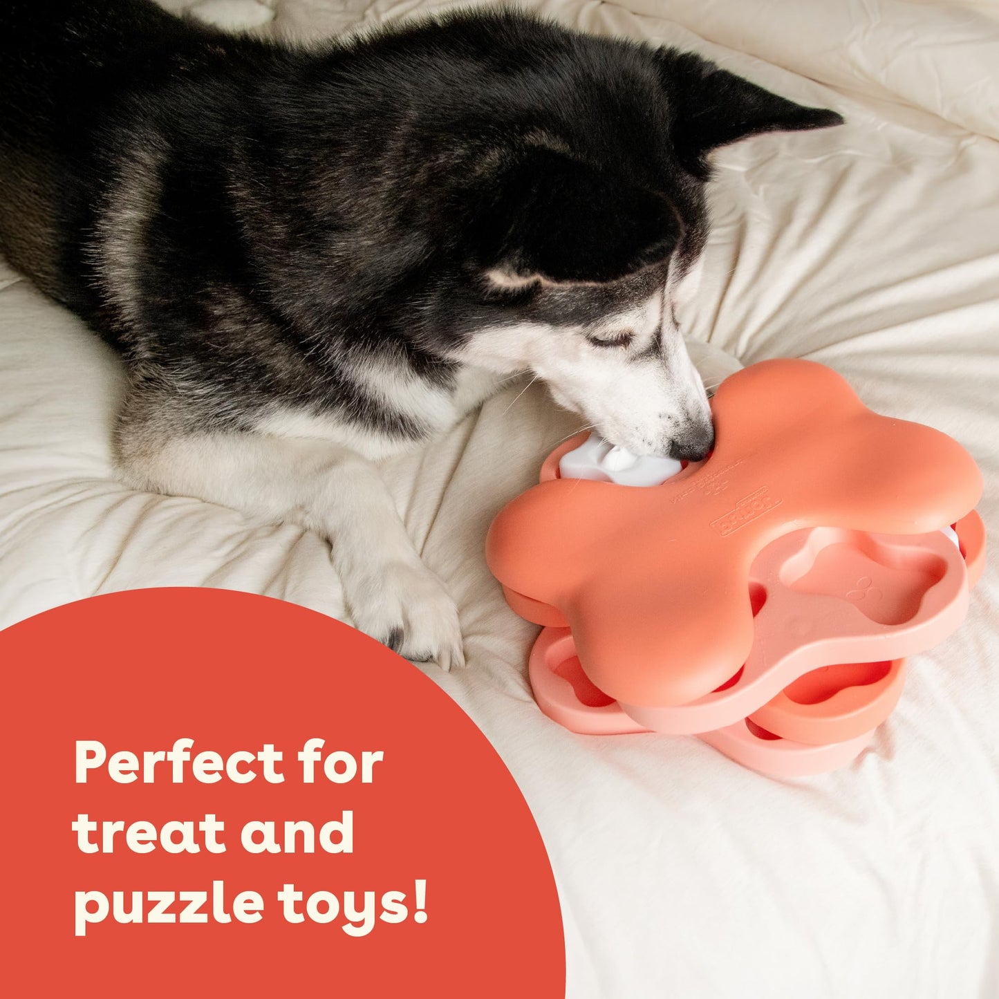 Pupford Soft & Chewy Training Treats for Dogs & Puppies (Beef, 10 oz)