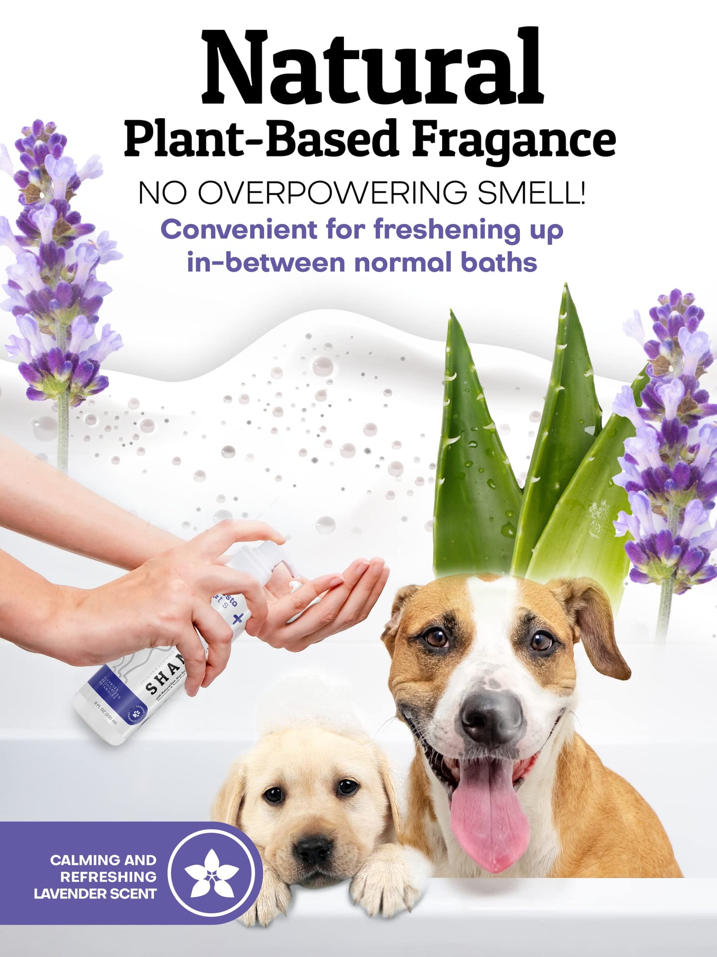 Nuesta Pets Waterless No-Rinse Pet Shampoo | Soothing Hypoallergenic Gentle | time-Saving Stress-Free foaming Cleanser (3 8 fl oz Bottles Lavender)