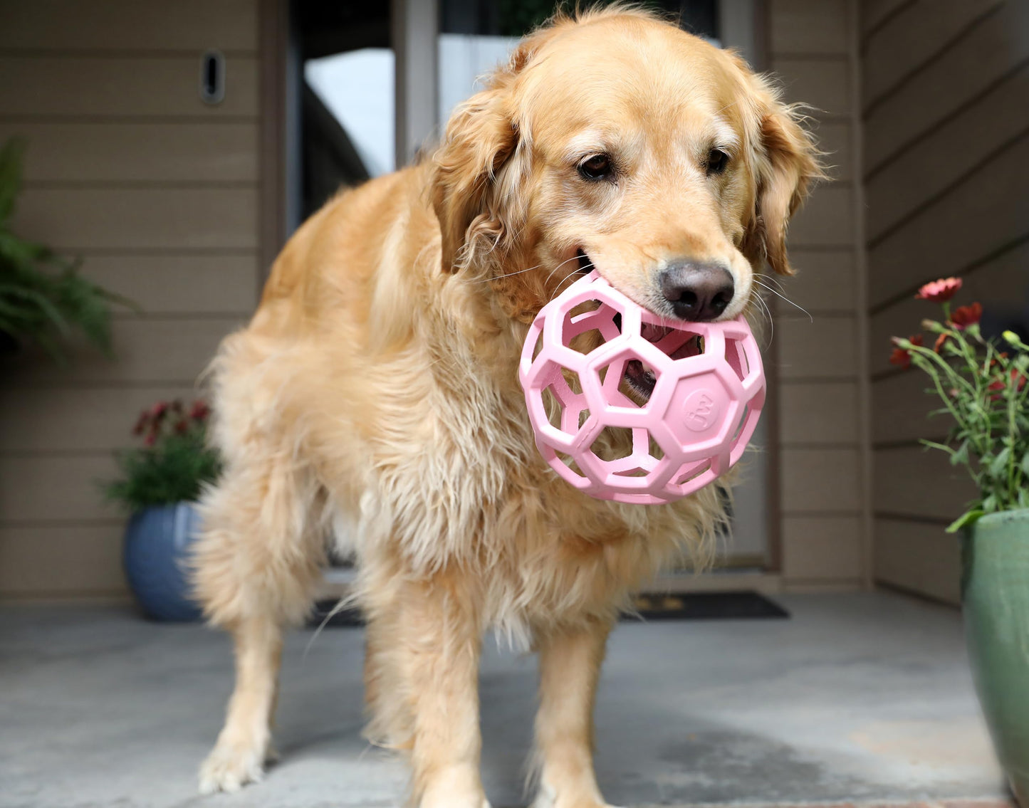 JW Pet HOL-ee Roller™, Dog Toy Puzzle Ball, Natural Rubber, Large (5.5” Inch Diameter), Pink