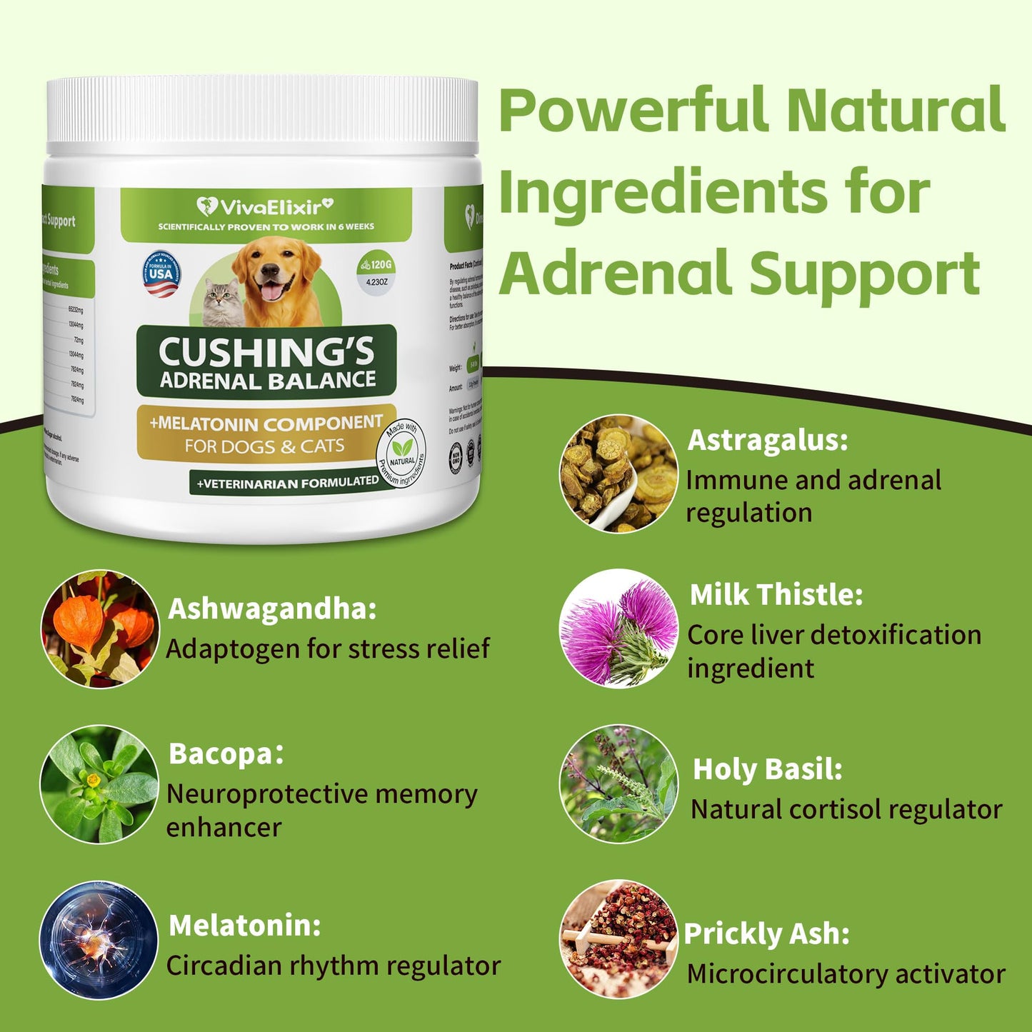 Canine Cushing's Support –Supports adrenal and cortisol balance, helps relieve thirst, urination, and kidney health | Veterinary formula with melatonin, ashwagandha, Astragalus, and milk thistle, 120g