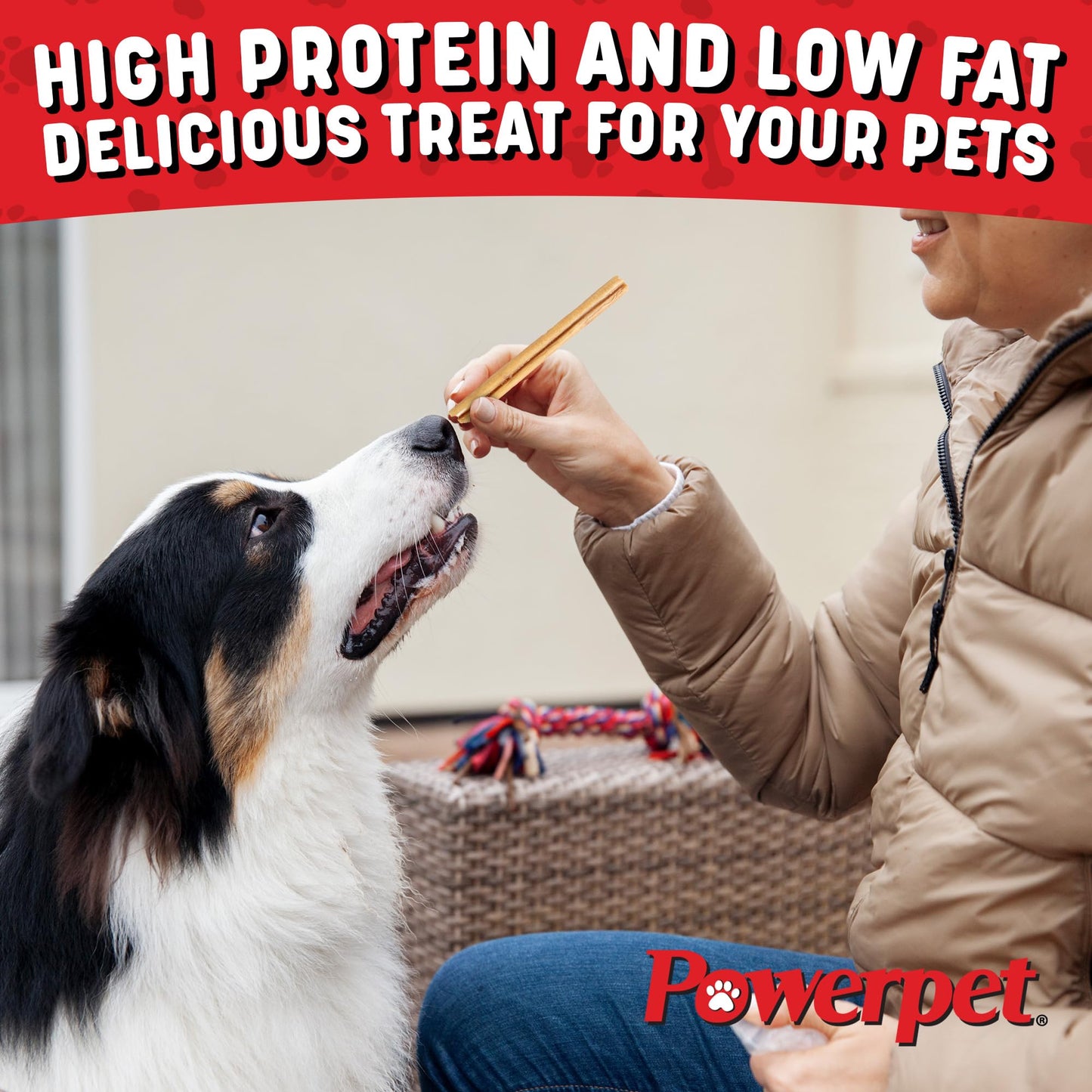 Powerpet 100% Natural Steer Stick - High Protein Bully Stick, Low Fat, Healthy Dog Treats, Long-Lasting Dog Chews, Easily Digestible, Cleans Teeth, Low Odor, for All Breeds & Sizes, 6" - 10 Count