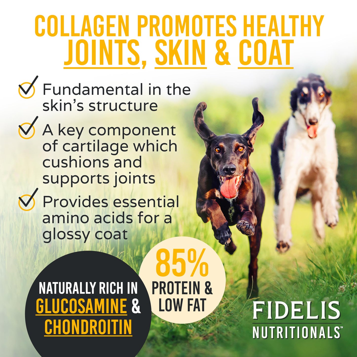 FIDELIS Rawhide Free Dog Chews Long Lasting, Treat Sticks, Dog Treats, Small & Large Dogs, Beef Collagen, Gluten Free, Grain Free, Pet Chew, Bones-Alternative, Made in USA, 4pk, Chicken, 10"