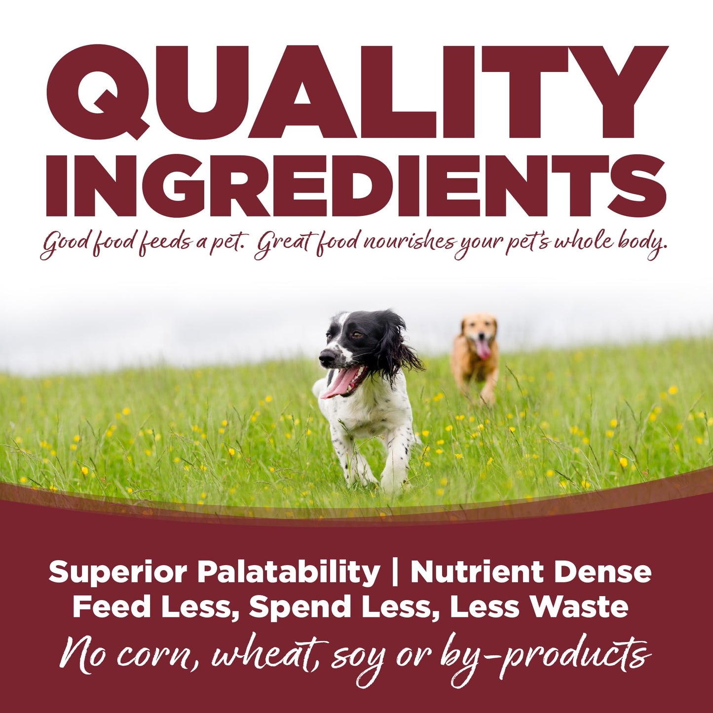 Primal Freeze Dried Dog Food Nuggets, Beef; Complete & Balanced Meal; Also Use as Topper or Treat; Premium, Healthy, Grain Free, High Protein Raw Dog Food, 14 oz (Pack of 4)