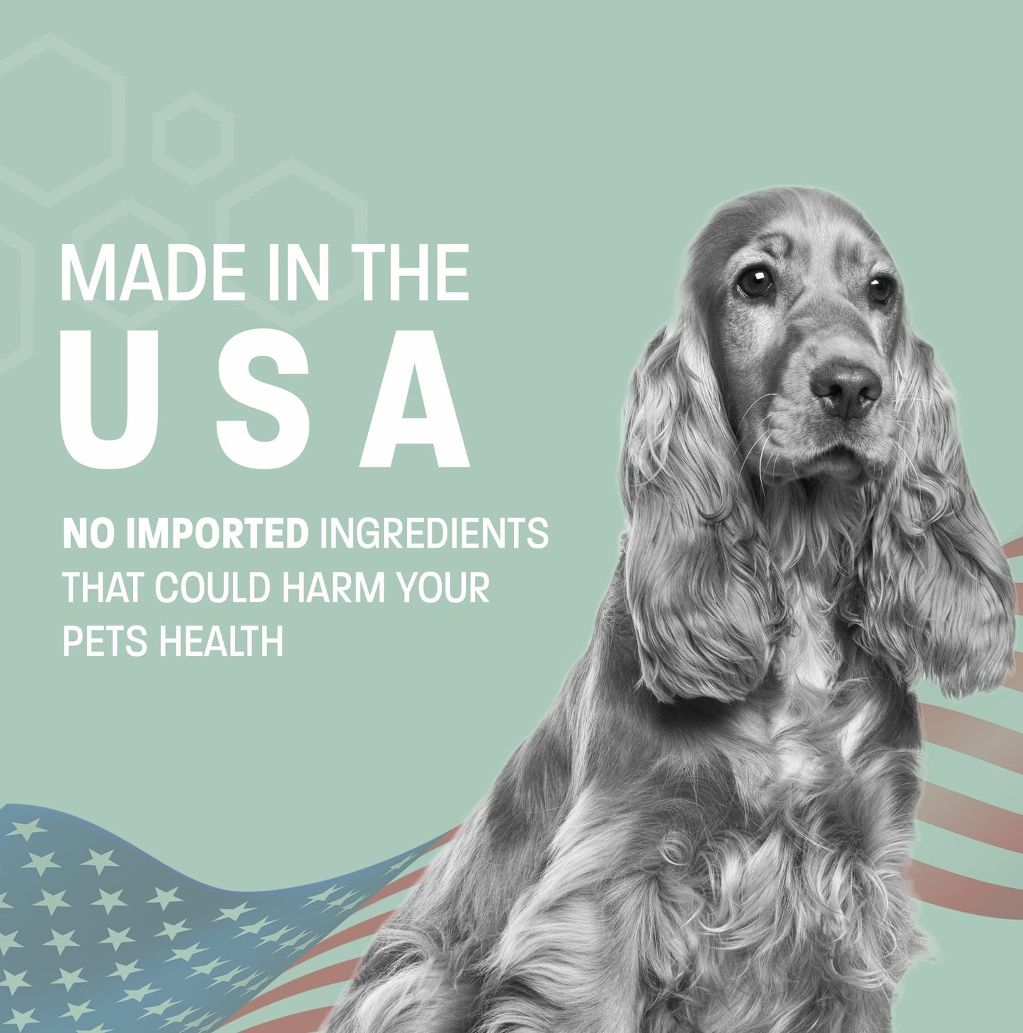 Pet Health Pros Aloe Oatmeal Shampoo for Dogs - Sensitive Skin Dog Shampoo for Allergies and Itching – Moisturizing Soap Free Aloe Oatmeal Dog Shampoo and Conditioner for Dry Itchy Skin - 16 oz
