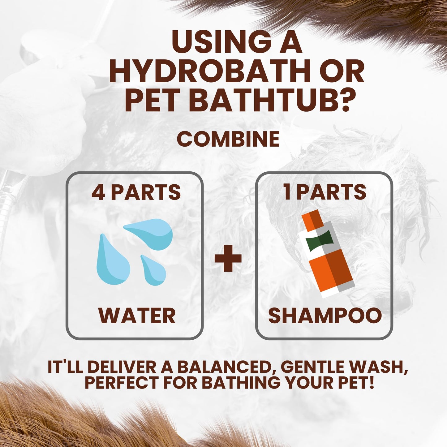 Oakwood Puppy & Kitten Shampoo - Tearless Chamomile Dog & Cat Cleansing Coat Wash for Sensitive, Itchy Skin - Nourishing Gentle Sulphate-Free Pet Bathing Supplies for Puppies & Kittens - 2 Pack