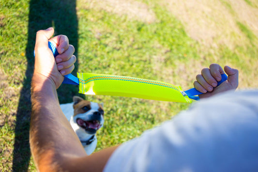 Bull Fit Dog Bite Tug Toy with 2 Strong Handles - Tough, Durable Fire Hose Dog Tug for Medium to Large Dogs - Ideal for Tug of War, Fetch, Puppy Training & Fun Interactive Play - Handmade Pull Toys