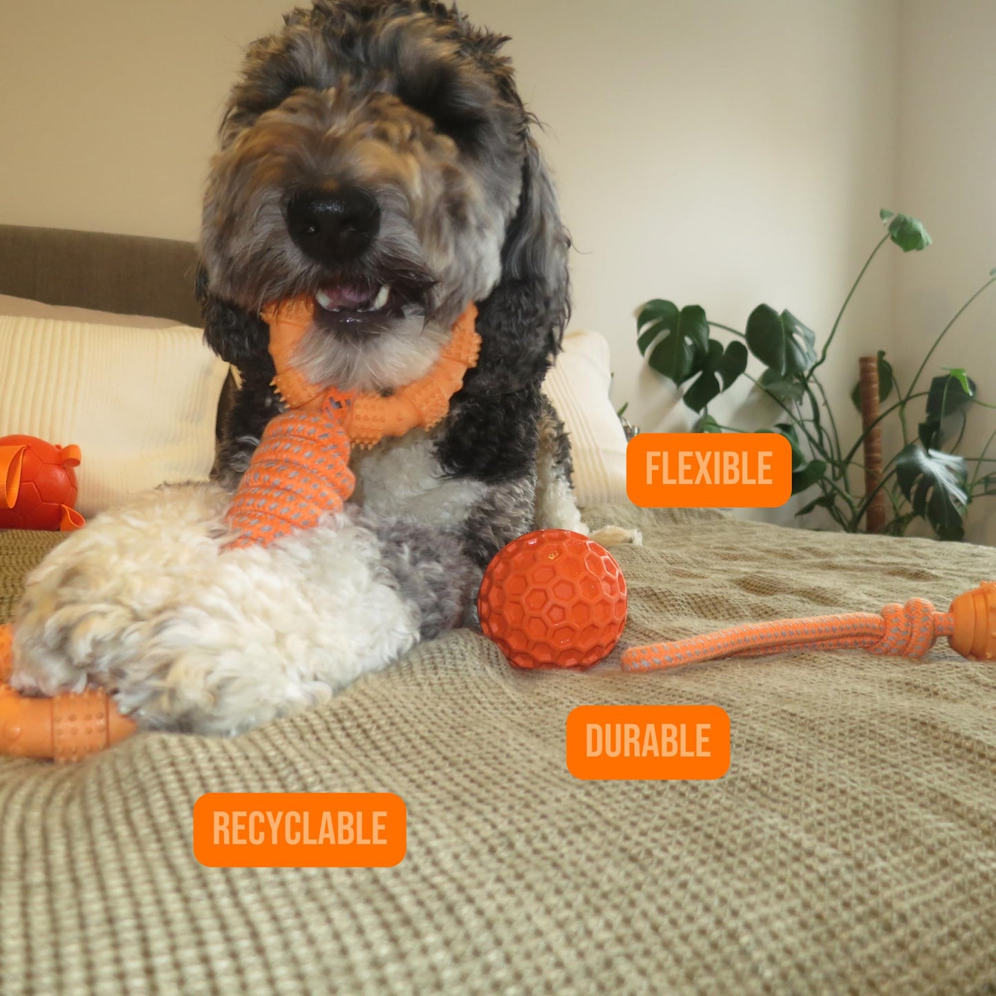 Doug's Dog Supplies Ring Rope Toy – Tug of War Toy for Medium & Large Dogs | Tug & Play Dog Toy