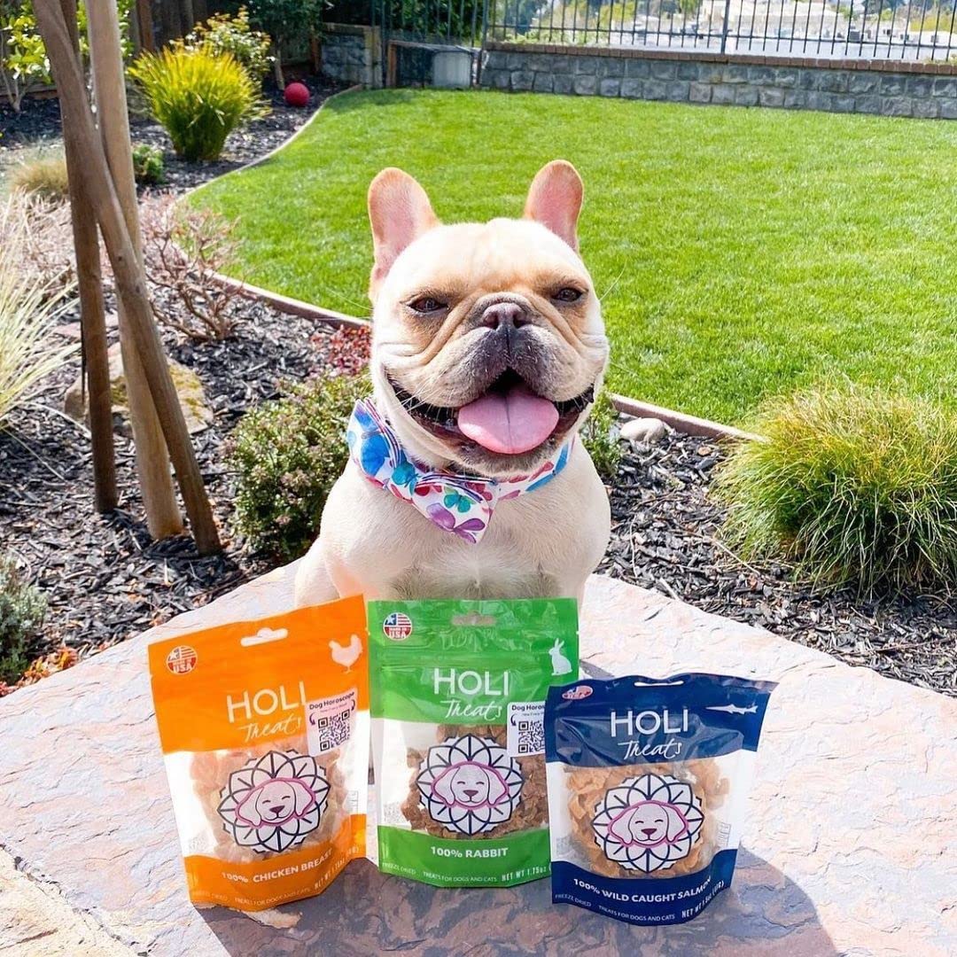 HOLI Freeze Dried Rabbit Treats for Dogs- All Natural Healthy Dog Treats, 100% Made in USA - Single Ingredient - Human Grade - Grain Free - Diabetic Friendly - 3.5oz