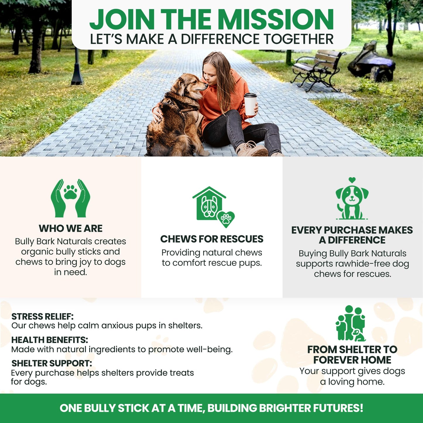 Thin 6” Bully Sticks for Dogs - 10 Count - 100% Natural, Odor Free Grass-Fed Beef Pizzle Sticks for Dogs - Fully Digestible, Rawhide Puppy Bully Sticks for Small & Medium Dog - Free Ear Wipes