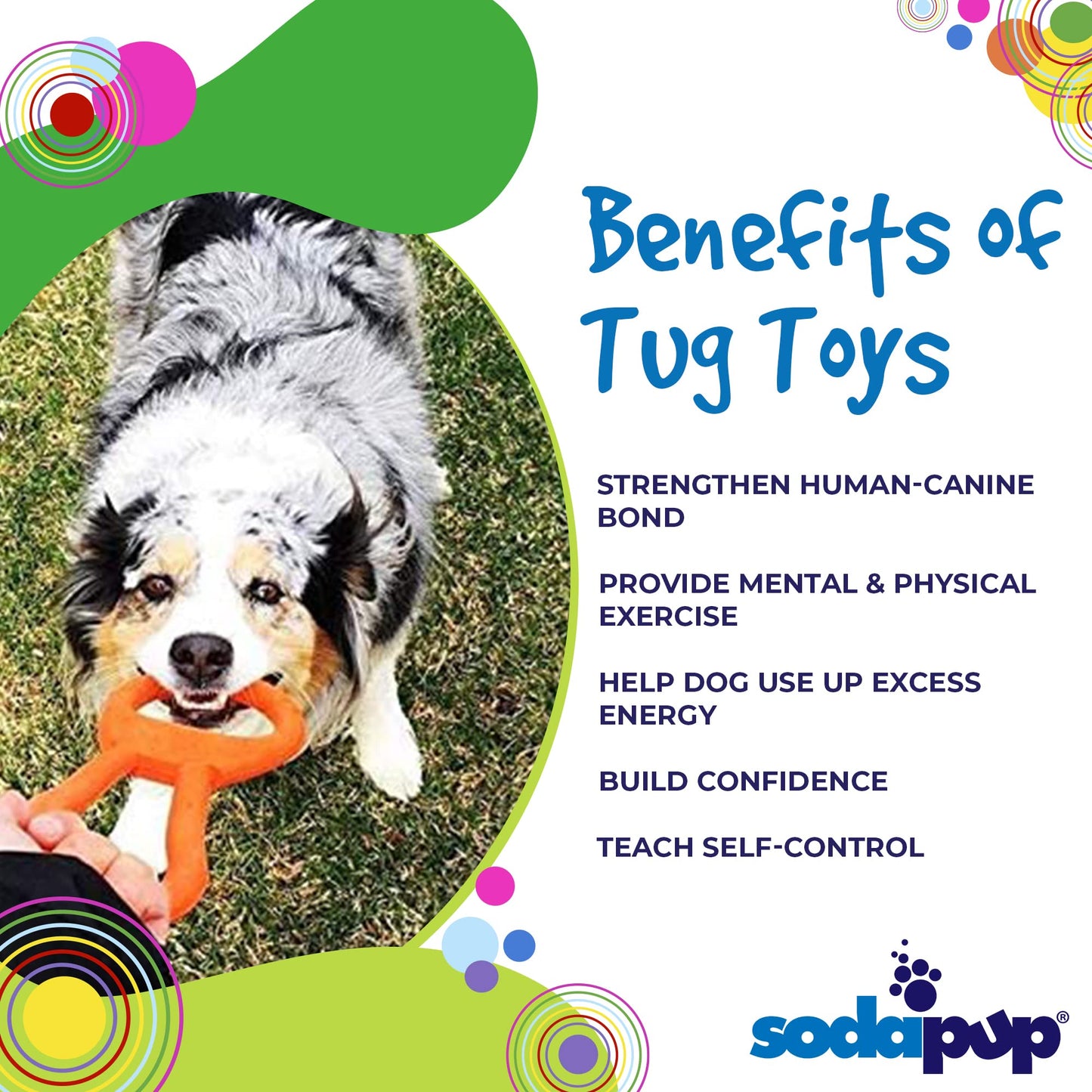 SodaPup Can Pull Tab – Durable & Interactive Dog Tug Toy Made in USA from Non-Toxic, Pet Safe, Food Safe Natural Rubber Material for Bonding & Play Time, Mental & Physical Exercise, Training, & More