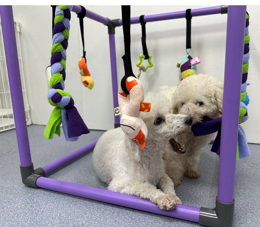 DOZZOPET Puppy Play Gym for Small Dogs with 8 Hanging Toys, Jungle Playground with Interactive Funny Enrichment Toys to Keep Them Busy
