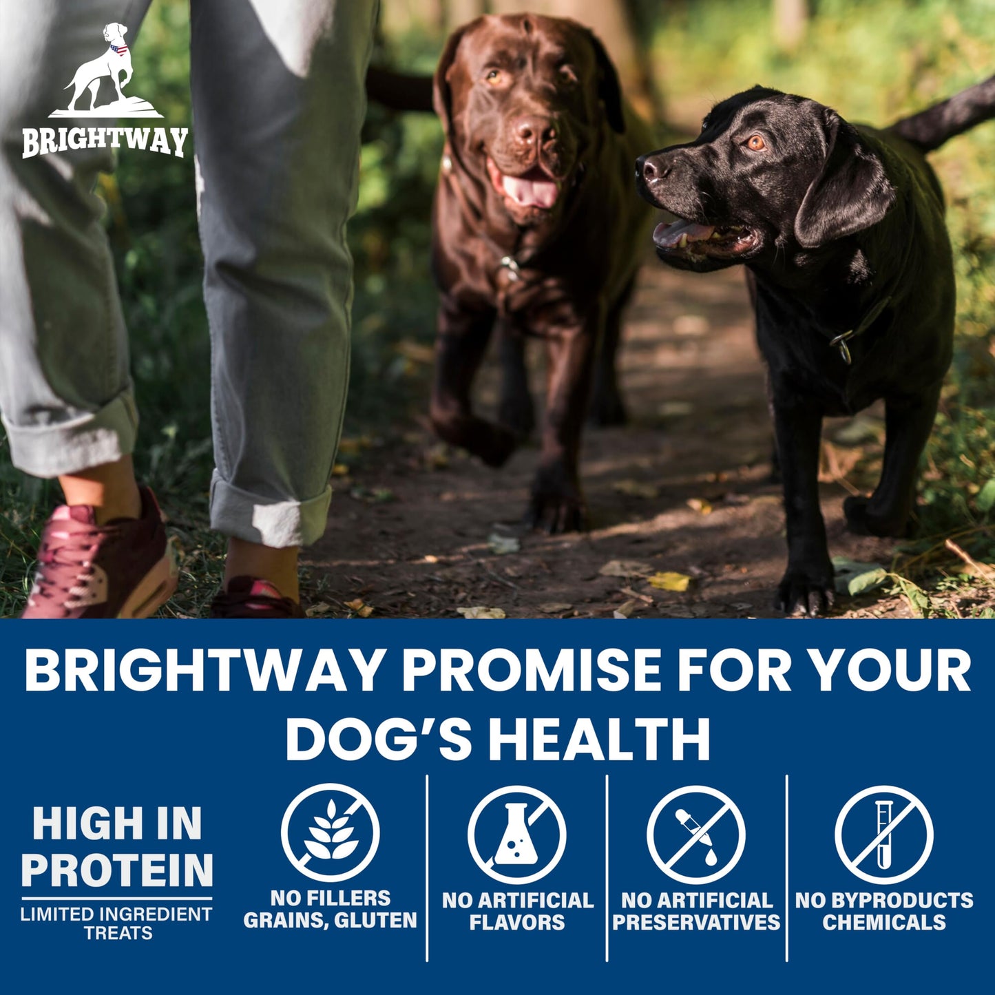 Brightway Pets Primal Protein Bites – Freeze Dried Raw Chicken Dog Treats | High Protein, Cage-Free Chicken & Liver | Made in USA, Grain-Free, All-Natural | Training Treats Meal Topper