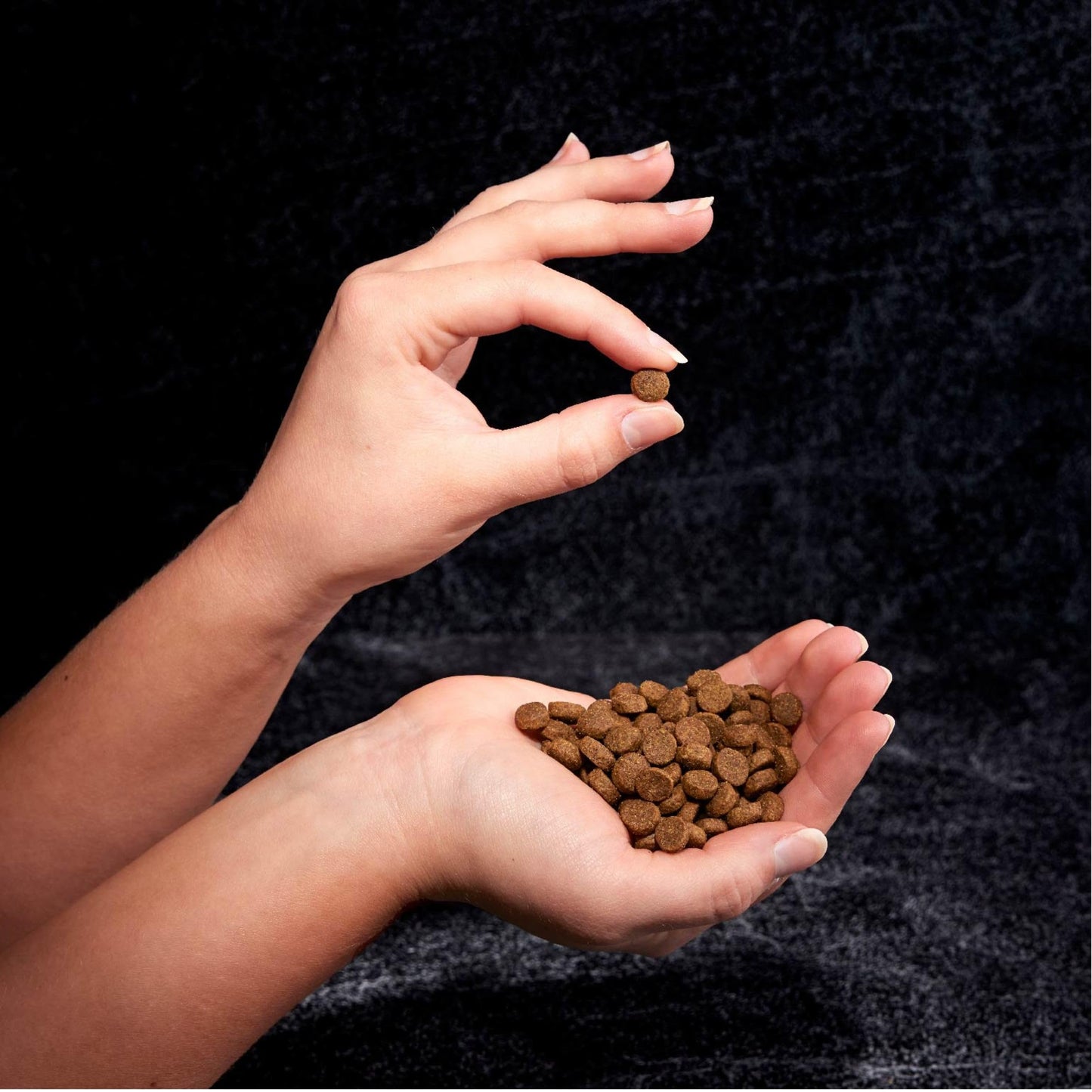 CRAVE Grain Free High Protein Adult Dry Dog Food, Chicken, 4 lb. Bag