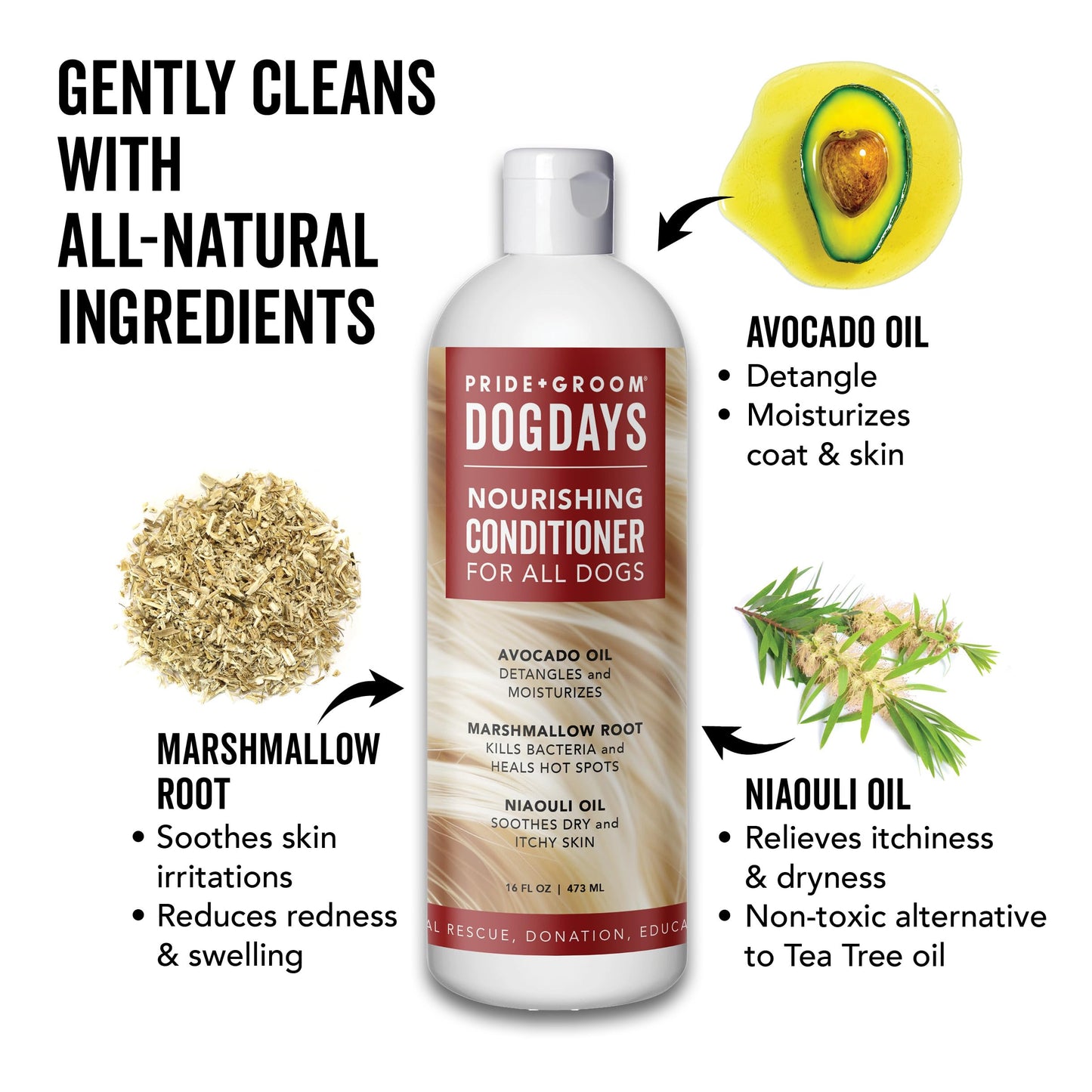 Pride and Groom DogDays Nourishing Dog Conditioner | Tearless, Hypoallergenic Formula for Allergies, Itching & Dry Skin | Natural Detangler for Dogs | Extends Life of Dog Groom | 16 oz