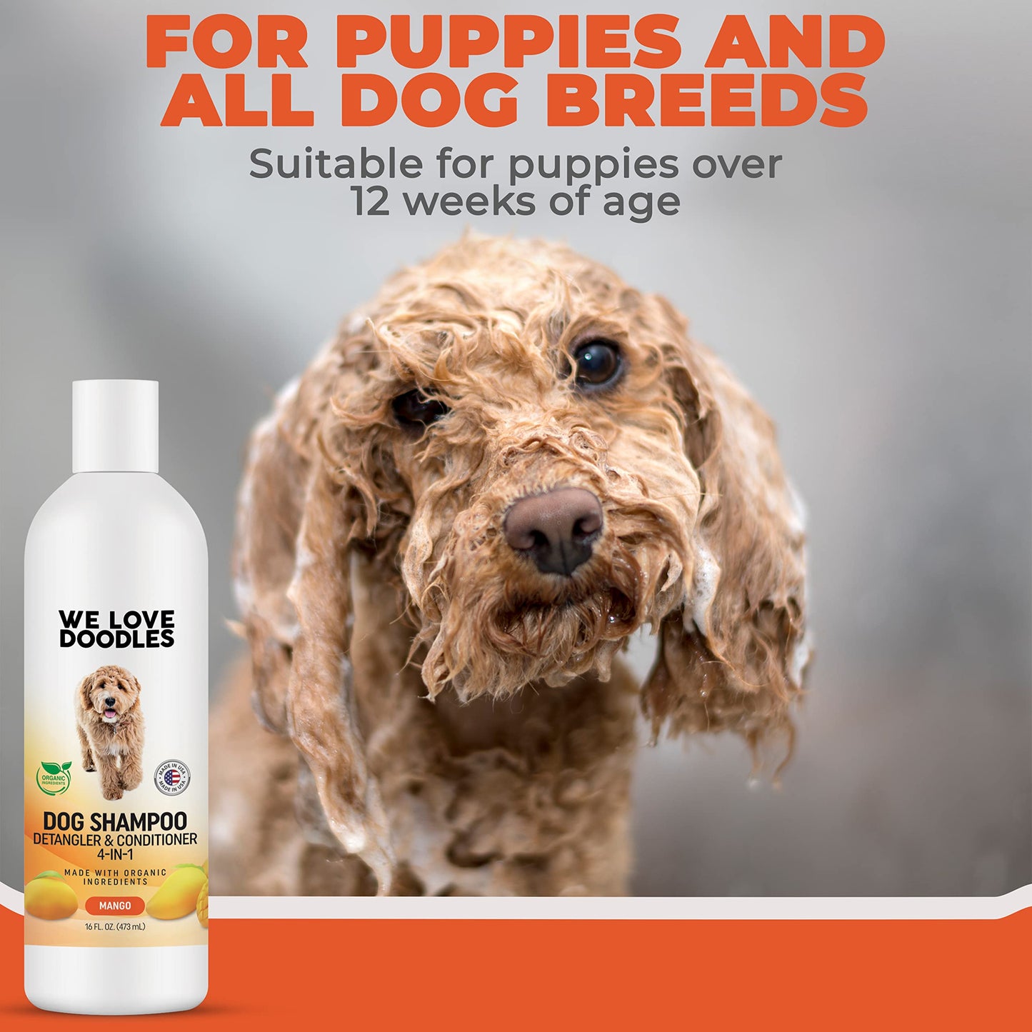 We Love Doodles Dog Shampoo Mango & Curved Slicker Brush - Pet Shampoo for Matted Hair, Sensitive Skin Shampoo for Puppies, for Long-Haired Dogs, Poodle, Golden Doodle, and Dematting (Large)