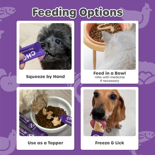 Choolip Squeeze Vita Stick Lickable Treats for Dogs & Cats. 7 Joint Support Sticks with Essential multivitamins. Soft and Tasty Paste for All Life Stages, Supporting Joints Health