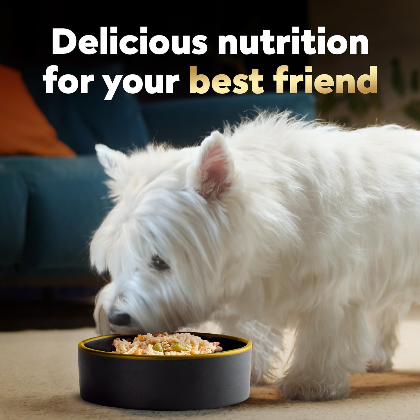 Cesar Wholesome Bowls Adult Wet Dog Food, Beef, Chicken, Carrots, Barley & Green Beans Recipe and Chicken, Apple & Sweet Potato Recipe Variety Pack, 3 oz. (6 Count, Pack of 1)