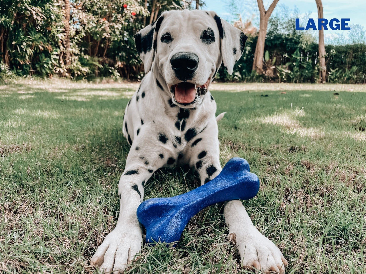 Tuff Pupper SuperChewy Tough Dog Bone Toy | Lifetime Replacement | Strong Natural Rubber | Great Dog Fetch Toy | Chew Toys for Dogs | Ultra Durable Chew Toys for Moderate Chewers | Large Breed Tested
