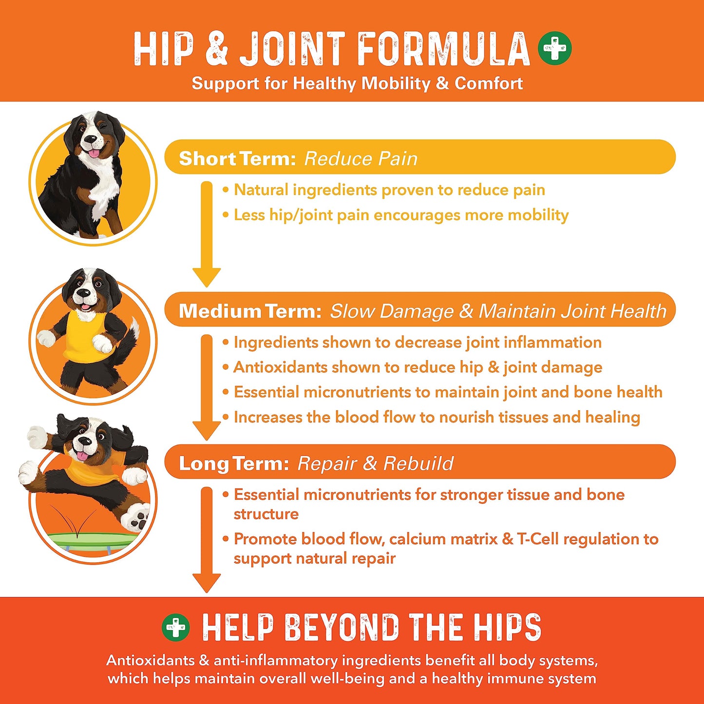 Bernie's Healthy HIPS - Daily Dog Hip & Joint Supplement - 90 Soft Chews - Reduce Pain, Encourage Mobility, Slow Damage, Repair and Rebuild HIPS & Joint Tissues
