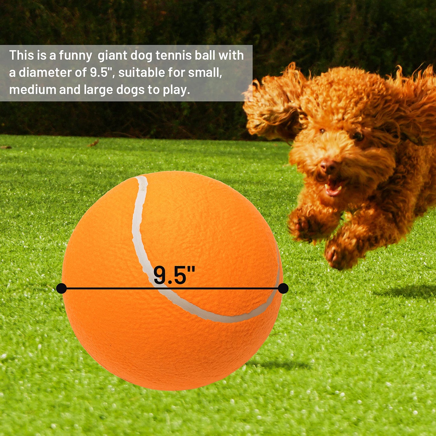 ABFEKIEA Large Dog Tennis Balls - 9.5" Interactive Dog Ball Toy for Training Play Exercise Fetch Outdoor & Indoor - 2 Pack Inflatable Pet Toys for Small, Medium & Large Dogs