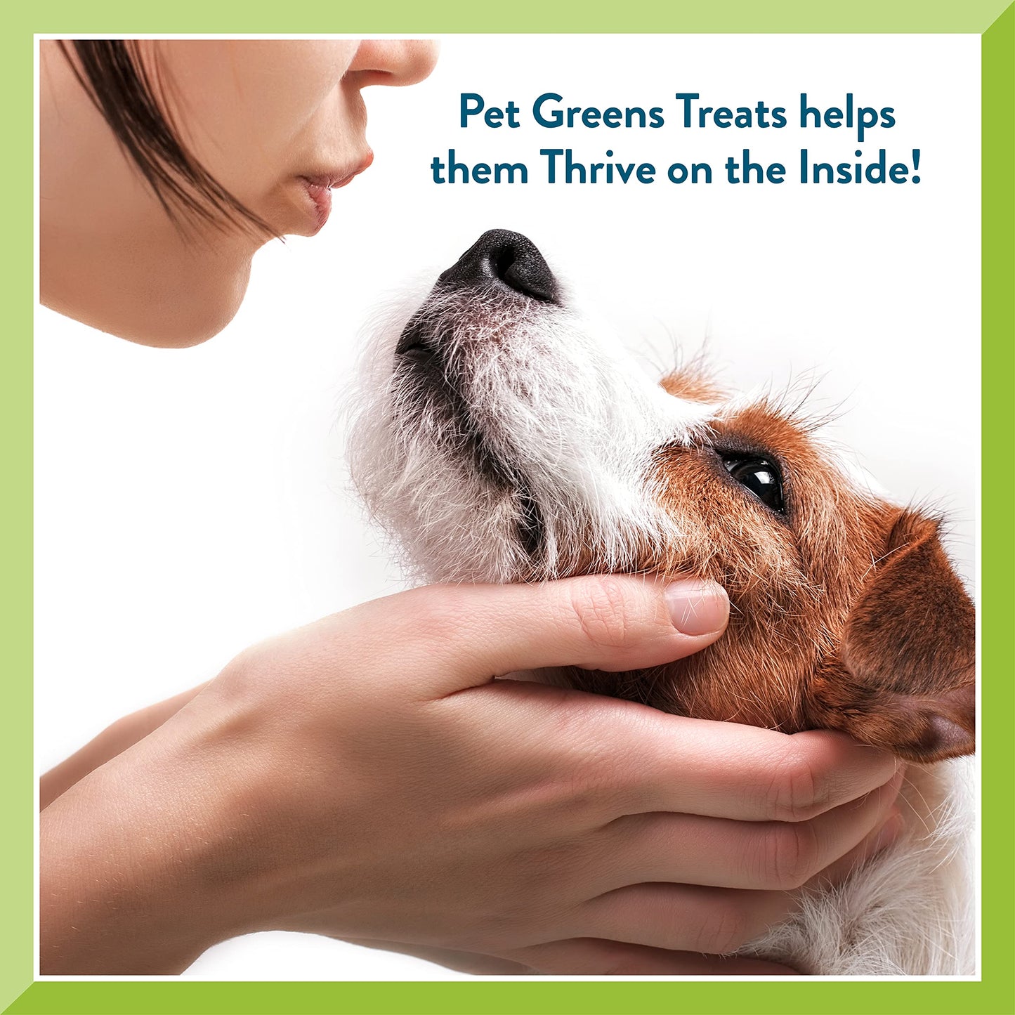 Pet Greens Natural Soft-Chew Dog Treats Infused with Supergreens - 3 Pack Bacon and Cheese 6 oz Each