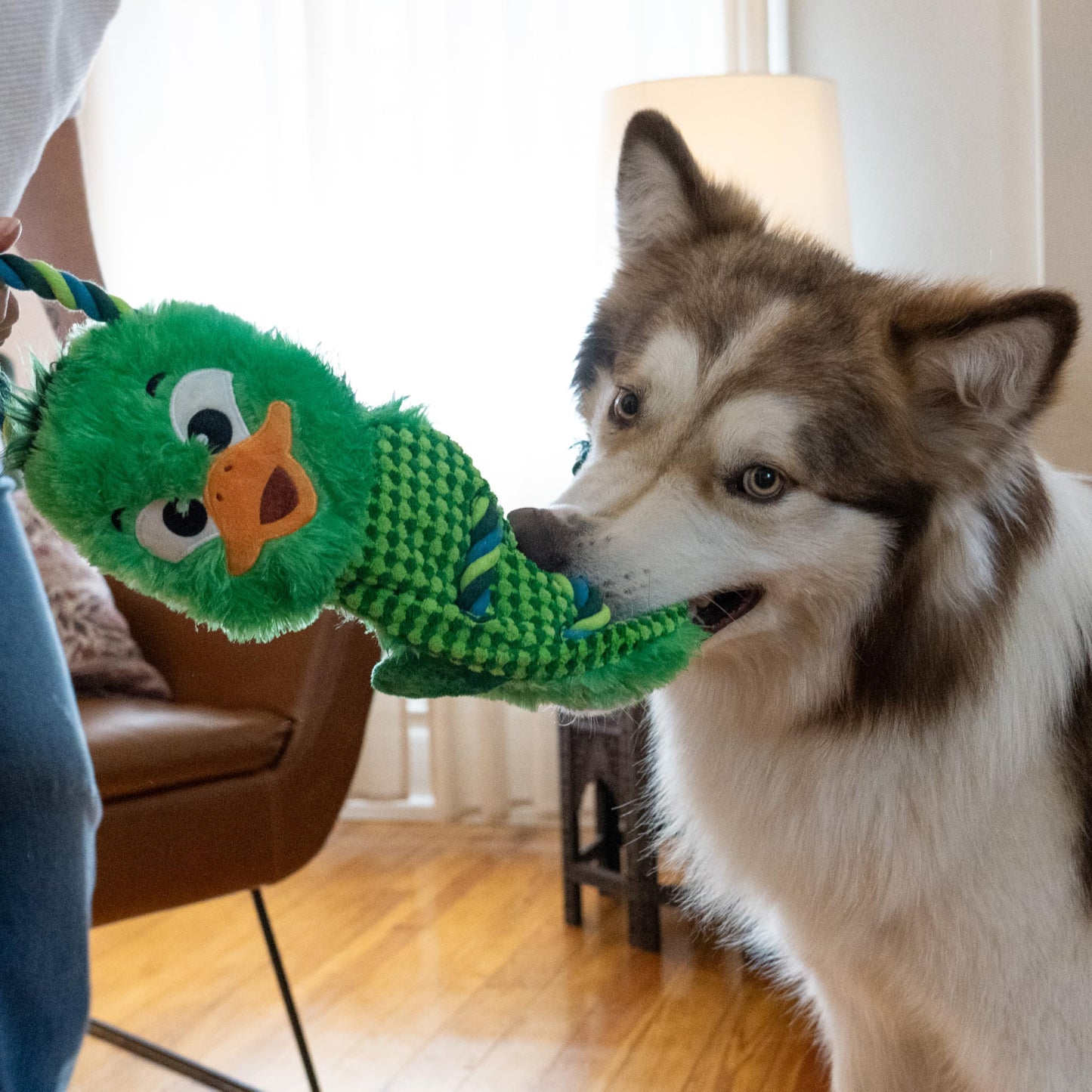 Outward Hound Ropiez Rope Interactive Dog Tug Toy for Tugging Squeaky Fun, 23.6 Inch Mallard, Green, Large