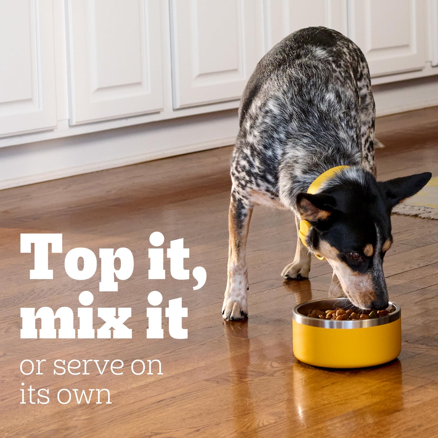 Pedigree Choice Cuts in Gravy Adult Soft Wet Dog Food 16-Count Filet Mignon Flavor, 3.5 oz Pouches