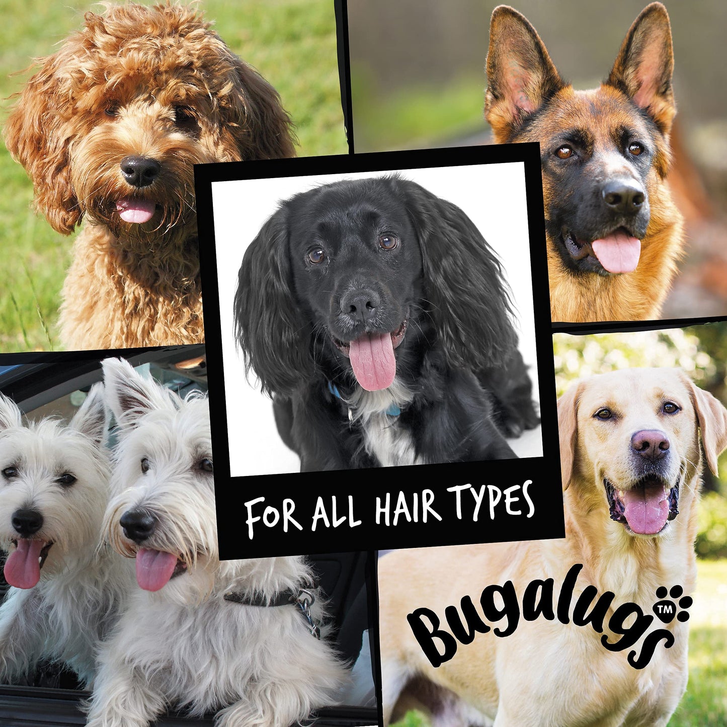 Dog Shampoo by Bugalugs Lavender & Chamomile 4 in 1 Dog Grooming Shampoo Products for Smelly Dogs with Fragrance, Best Puppy Shampoo, Vegan pet Shampoo & Conditioner