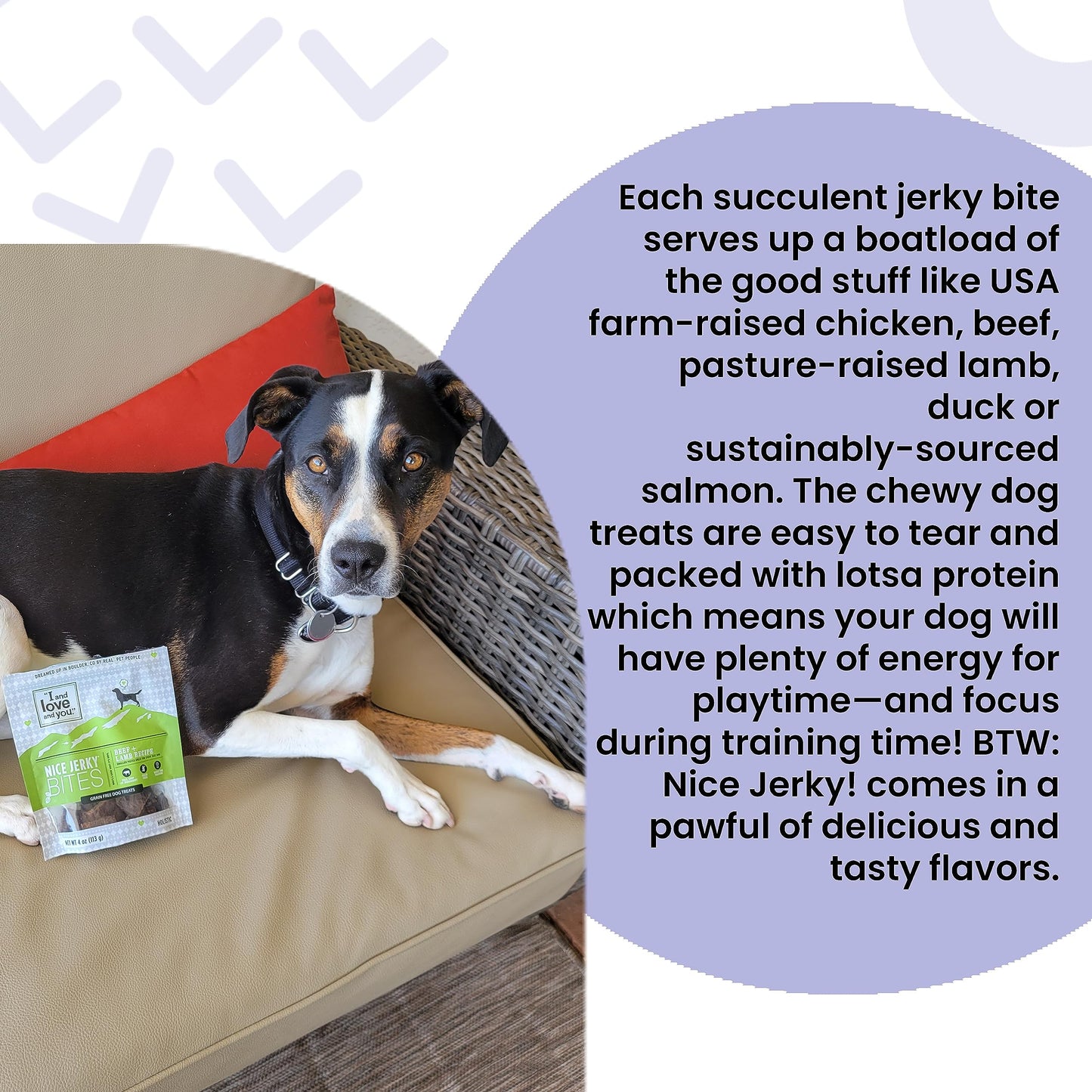 I and love and you Nice Jerky Bites - Beef + Lamb - Grain Free, Real Beef, Training Treat, Chewy Dog Treats, Filler Free, 4oz