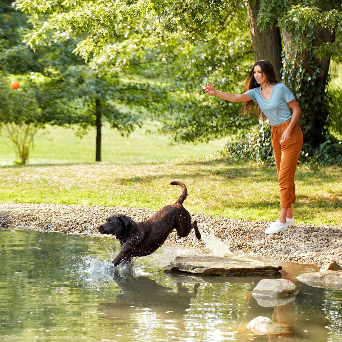 Nature's Recipe Grain Free Dry Dog Food, Salmon, Sweet Potato & Pumpkin Recipe, 34 lb. Bag