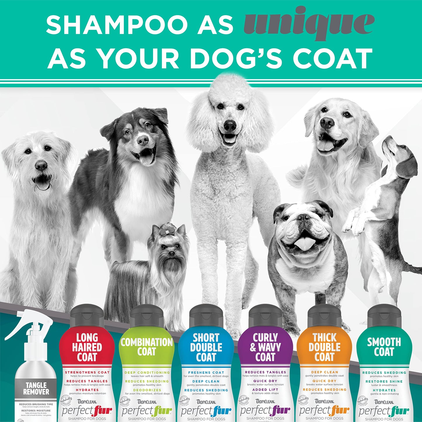 ODAC Overture Derma Serene Pet Shampoo, Gentle, Skin Friendly with Winter Cherry Root & Korean Patchouli, Rich Lather & Herbal Freshness, for Dogs & Cats, 10.14 fl oz Korea Beauty Pet Skincare