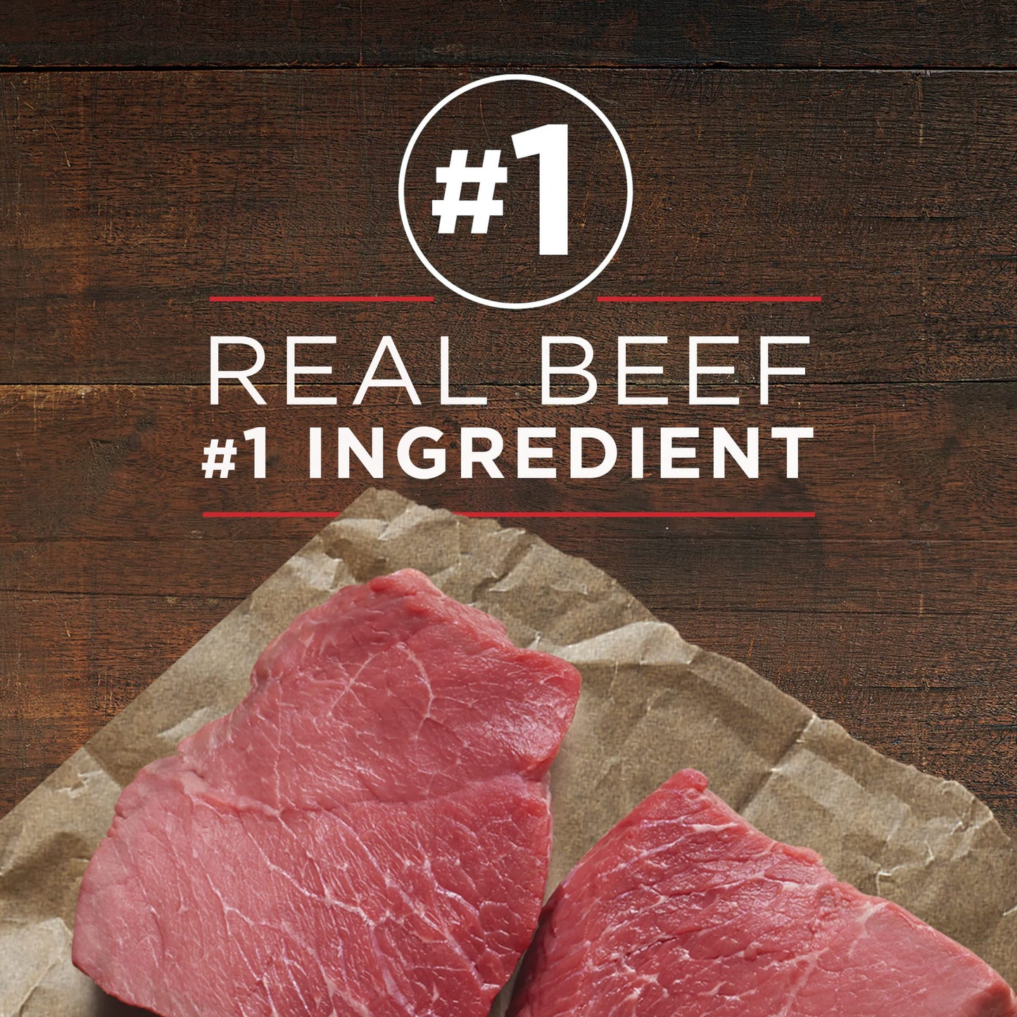 Purina ONE Wet Dog Food True Instinct Classic Ground Grain-Free Formula With Real Beef and Wild Caught Salmon High Protein Wet Dog Food - (Pack of 12) 13 oz. Cans