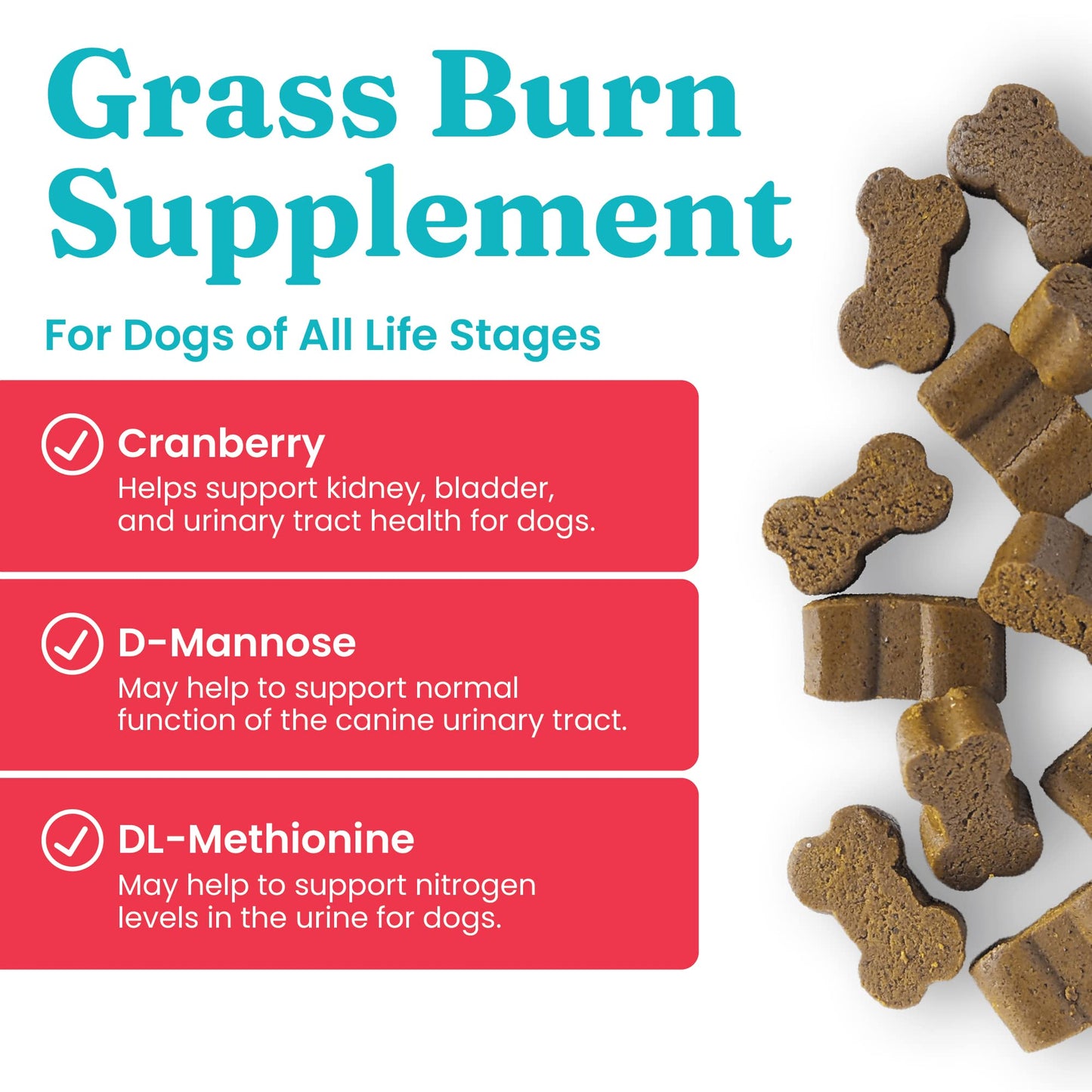 Solid Gold Dog Pee Grass Repair Chews - Dog Urine Neutralizer for Lawn w/Urinary Tract, Kidney, Bladder & pH Support to Reduce Grass Pee Spots & Burn - Pet Urine Neutralizer Treats - Bacon - 120ct
