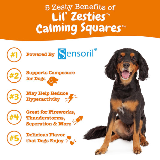 Zesty Paws Flavored Soft Chews - Calming for Dogs Anxiety Composure Relief with Ashwagandha Melatonin Chamomile Passionflower Dog Stress Separation Aid for Fireworks and Thunder 20 oz