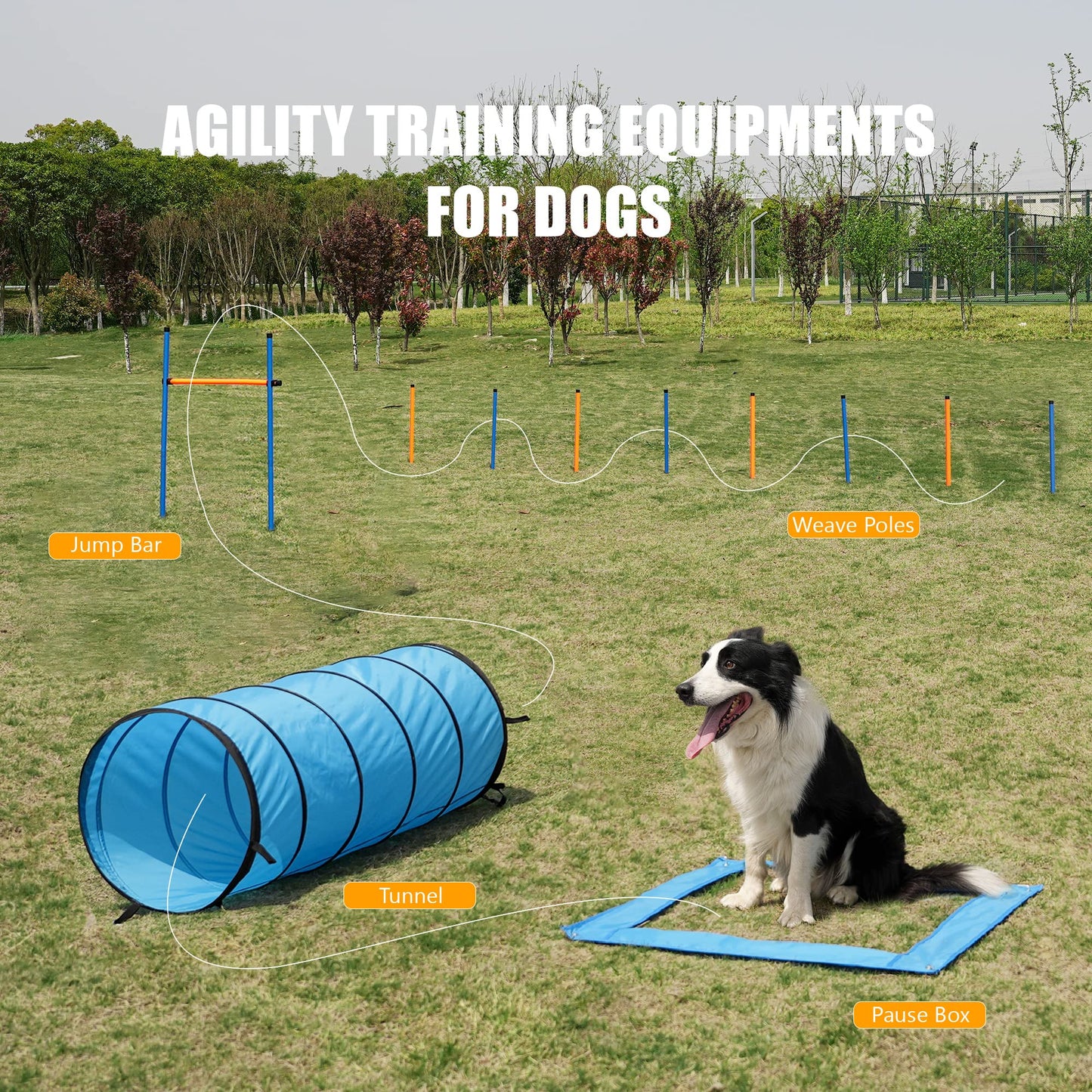 ANC POP Dog Agility Training Equipment Pet Obstacle Training Course Kit Dog Outdoor Games with Tunnel, Adjustable Hurdle, Pause Box, Toys and Carrying Bag