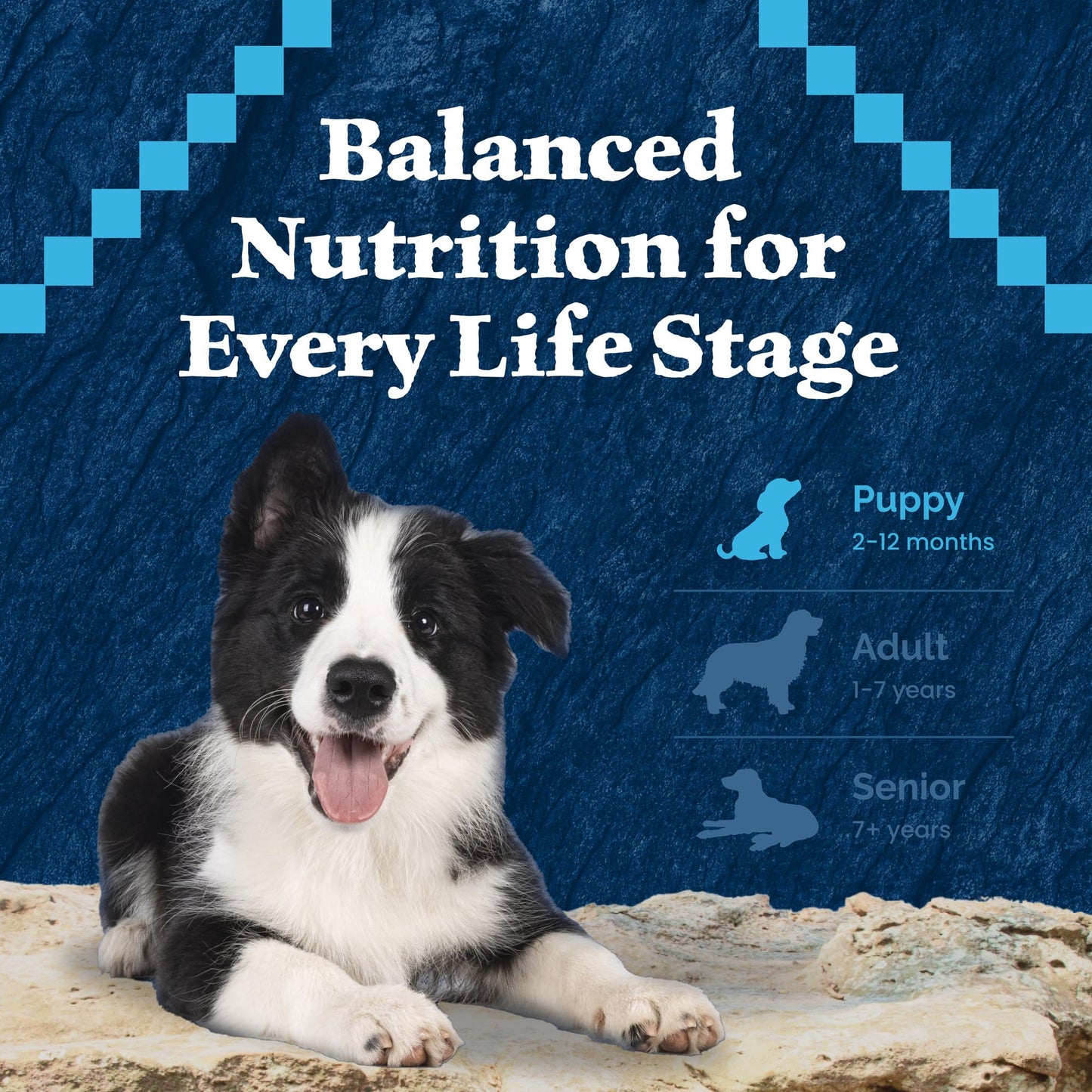 Blue Buffalo Wilderness High-Protein Dry Dog Food for Large Breed Puppies, Made in The USA with Natural Ingredients Plus Wholesome Grains, Chicken, 24-lb Bag.