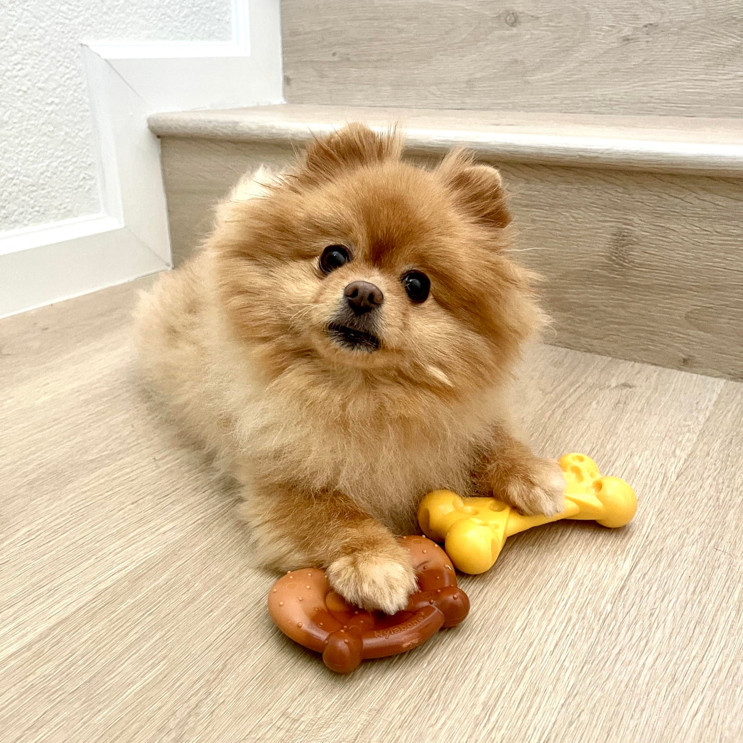 LEGEND SANDY Dog Toys for Aggressive Chewers Large Breed, Durable Dog Bones Squeaky Chew Toy, Nearly Indestructible Dog Toys for Large, Tough Natural Rubber Puppy Chew for Medium Teeth Cleaning