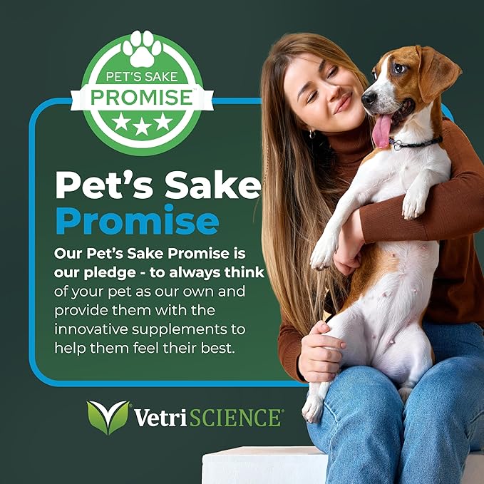 VetriScience Quick Action Diarrhea Aid Paste - Occasional Diarrhea Support for Pets - Probiotic Formula for Nervous Guts - Digestive Support Supplement - Unflavored - 60 cc
