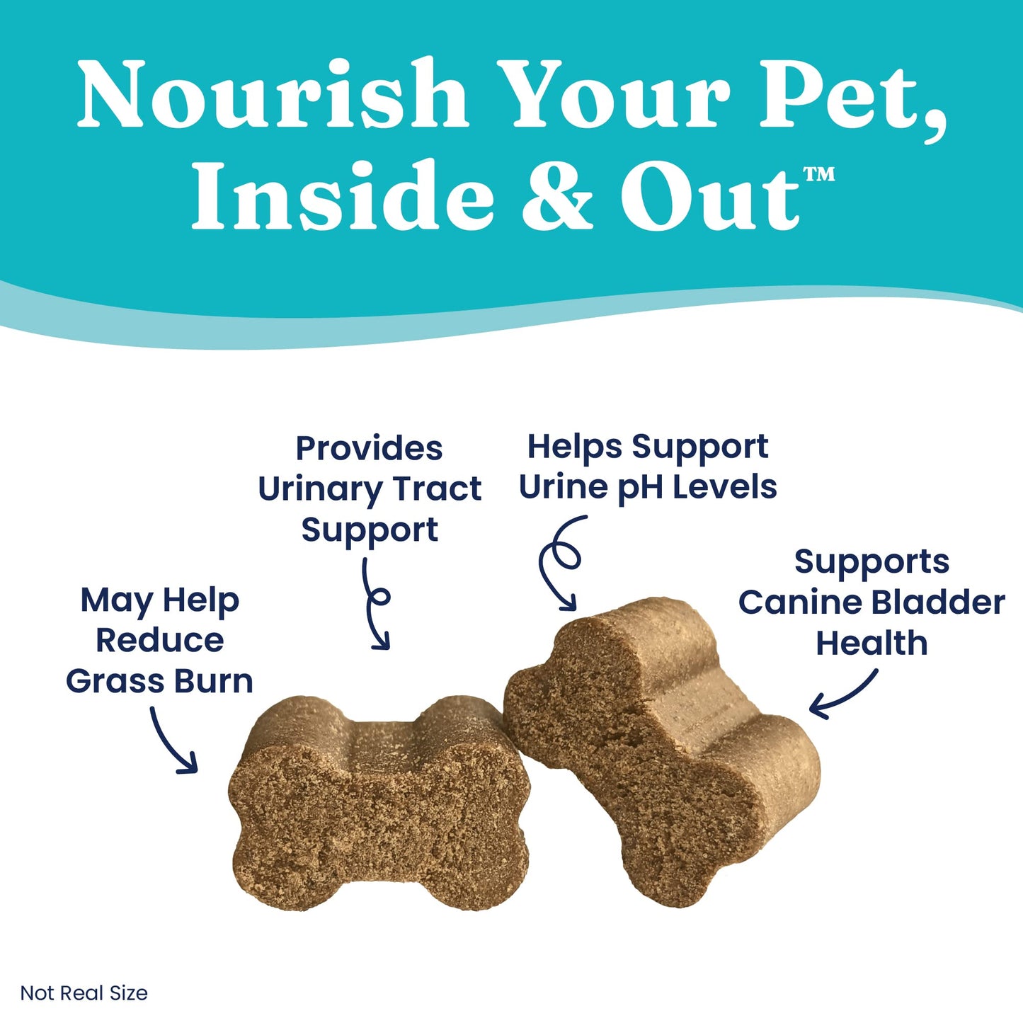 Solid Gold Dog Pee Grass Repair Chews - Dog Urine Neutralizer for Lawn w/Urinary Tract, Kidney, Bladder & pH Support to Reduce Grass Pee Spots & Burn - Pet Urine Neutralizer Treats - Bacon - 120ct