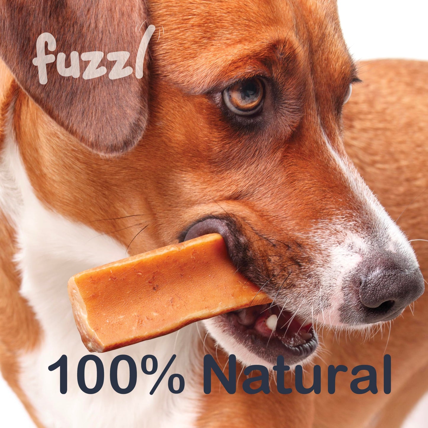 Fuzzl Yak Chews Mango, Coconut, Strawberry, Blueberry Medium Box 4 - Himalayan Yak Chews for Dogs - Natural Yak Cheese Himalayan Dog Chews Dog Chew