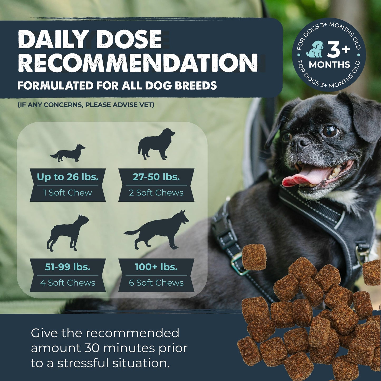 Mighty Paw Calming Chews for Dogs with Melatonin - Vet Formulated Dog Sleep Aid - Puppy & Large Pet Treats - Waggables Calm -Composure Calming Chews for Stress & Relaxation, 120 Count (Made in USA)