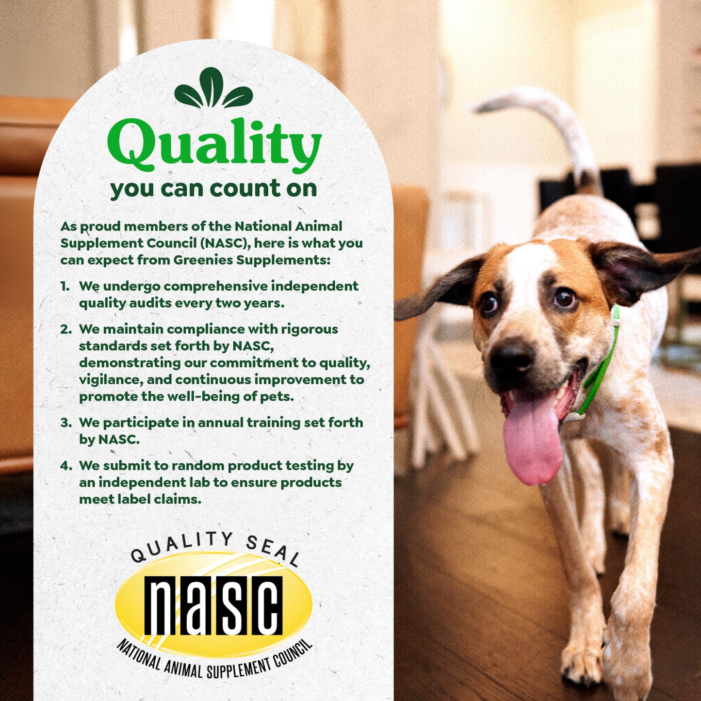 Greenies Supplements Digestive Health Probiotics for Dogs Chicken Flavor, 7.8 oz. Pouch of 40 ct.